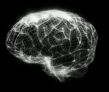 Human brain project