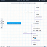Photo credit Lucy Tallents Mindmap