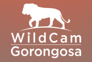 logo from WildCam Gorongosa on Facebook