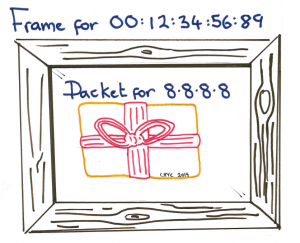 A pictoral representation of a packet in a frame