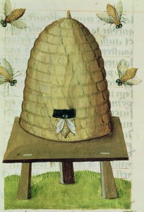 beehive and bees